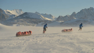 Dedicated Pedestrians Reach South Pole in One Piece